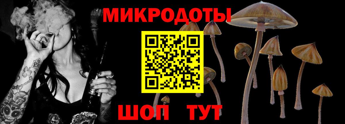 Белгород  Псилоцибиновые грибы Psilocybe  цены   Вход с VPN 